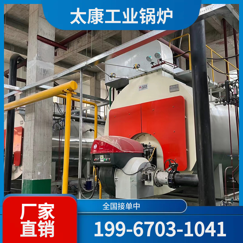 泰安高效燃煤锅炉