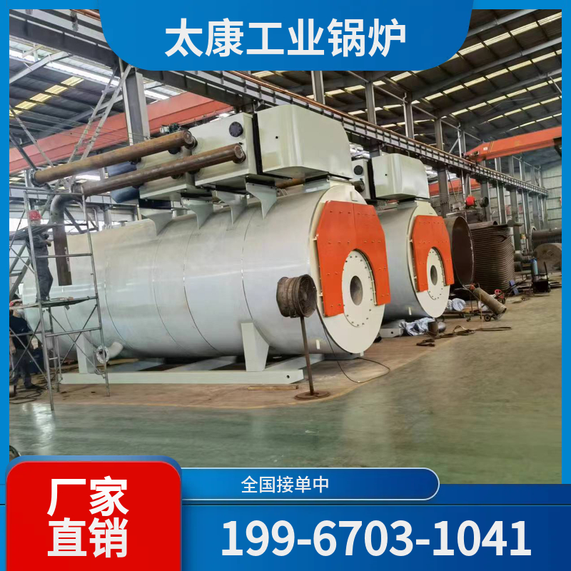 泰安燃煤导热油锅炉