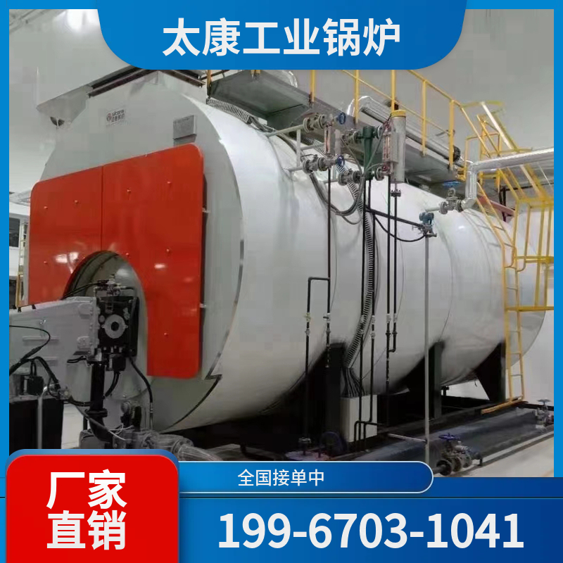 泰安燃煤蒸汽锅炉