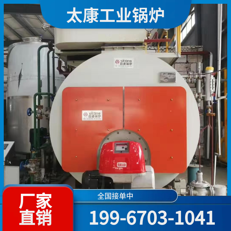 泰安低氮锅炉